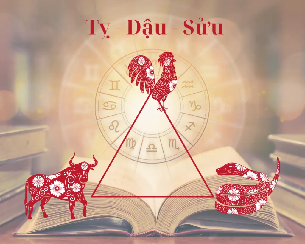 Tam hợp là gì? Tìm hiểu tứ hành xung & tam hợp